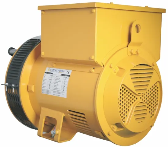 60HZ Brushless Industrial Generator AVR Input Output