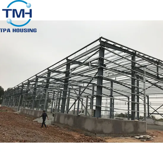 Steel large modular plant double steel structure warehouse