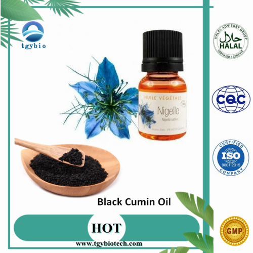 Food Grade 100% Natural Black Cumin Seeds Oil 4% Thymoquinone Manufactory