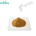 Ekstrak kastanye kuda kemurnian Aescin horse chestnut powder