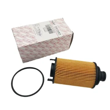 Hot Sale Wholesale Genuine E4G16-1012040 Oil Filter for Chery Arrizo5