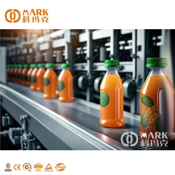Types of Fruit Juice Packaging and Filling Machines