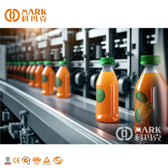 Types of Fruit Juice Packaging and Filling Machines