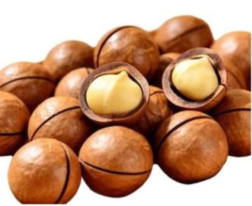 Premium Macadamia Nuts Roasted Classic Creamy Crunchy Snack