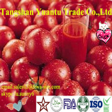 tomato paste best selling products