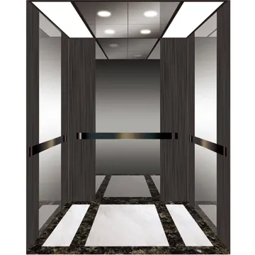 Gearless Traction Elevator for Home Villa Passenger Use