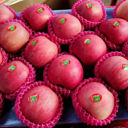 Qia Xia Paper Bagged Fuji Apples