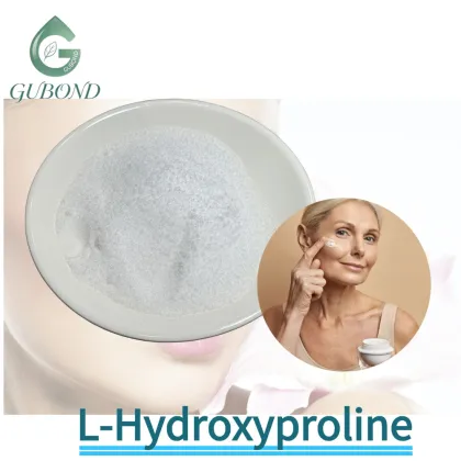 L-Hydroxyproline Powder for Collagen Skin Care Formulas