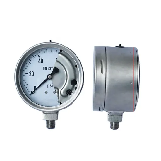 Top Manufacturer Offers High-Quality Solid Front Stainless Steel Thread Food Process Gauges