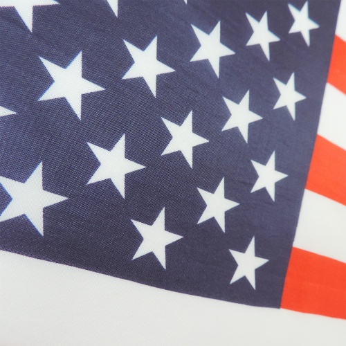 Best selling silk screen printing American hand flag