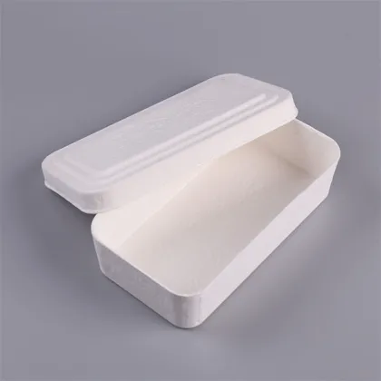 Paper Pulp Molded Underwear Package Box