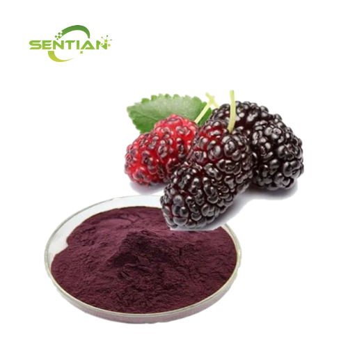 Mulberry Powder Coating for Natural Skin Benefits