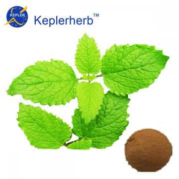 Lemon balm extract powder