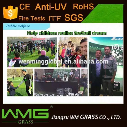 Tencate Thilion Fiber Artificial Turf Grass for Football Artificial Lawn