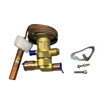 XTY Replacement Parts TCLE 10 NW 100 Expansion Valve for Bus Air Conditioner