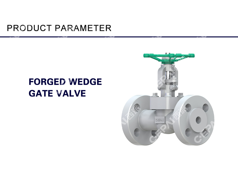 Forged Wedge Gate Valve