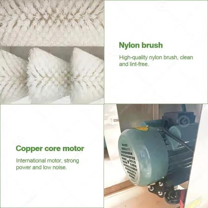 New Type Duck Egg Cleaning Machine for Small Farms