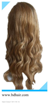 Remy Human Hair Wigs (BD-11072530)
