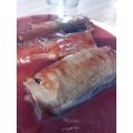 ニシン魚のトマトソースチリ缶詰