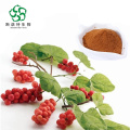 Animal Husbandry Materials Fructus Schisandrae Chinensis Extract Powder With Best Price Manufactory