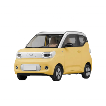 New Two-Door Electric Car: Small Mini EV with Battery Upgrade