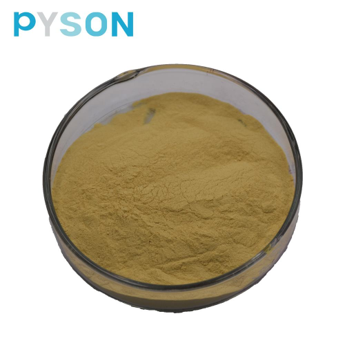 Shell-broken Pine pollen Powder(Protein ≥ 10.0%)