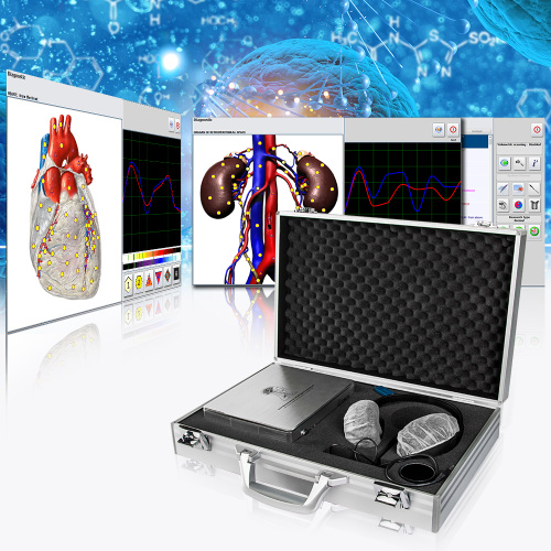 Medyske 4025 NLS-systeem bioresonance scan-terapy-masine