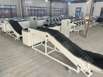Fruit and Vegetable Grading Sorting Machine with Inspection Conveyor