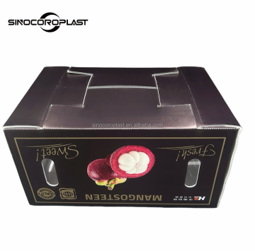 China Factory Best Price Mangosteen Plastic Sheet for Fruit Box Packaging