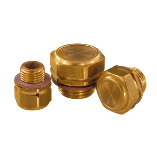Brass vent screws with non-return valve