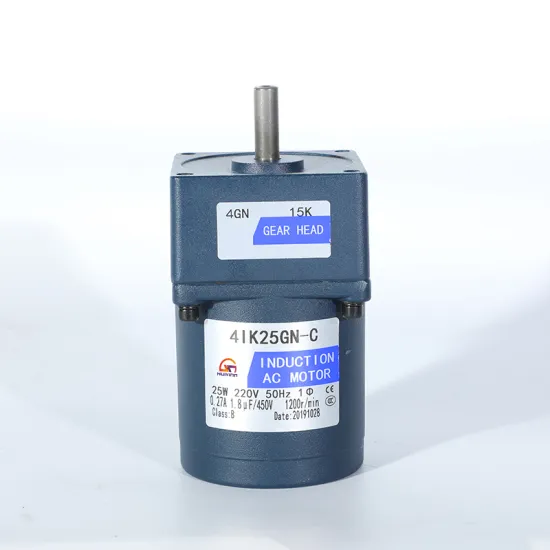 Top 25W AC Forward Reverse Reversible Gearmotor: Single Phase Geared Reduction Electric Motor