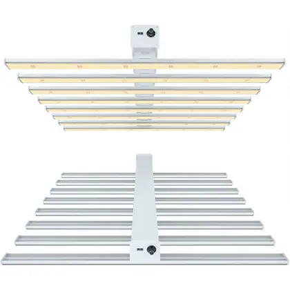 Best Cheap Grow Lights For House Plants