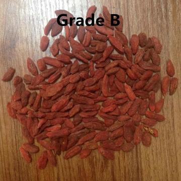 Grade B ราคาถูก zhongning ผลไม้แห้งโกจิเบอร์รี่