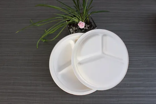 Eco Friendly 9 Inch 3 Compartment Bagasse Plate