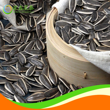 Xinjiang bulk sunflower seeds