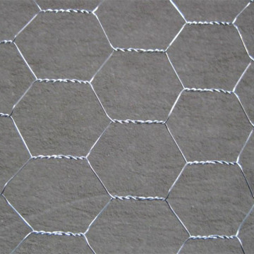 Galvanized Hexagonal Wire Fencing-Chicken Wire Mesh