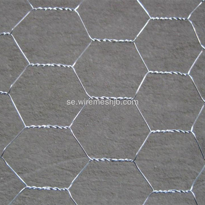 Galvaniserad hexagonal Wire Fencing-Chicken Wire Mesh