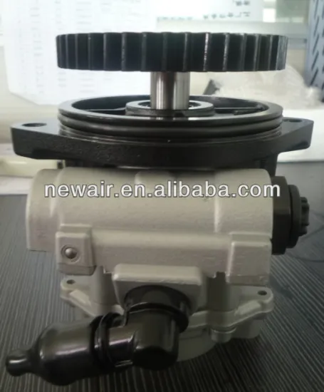 For CHEVROLET S10 power steering pump 5410019810