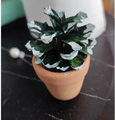 Red Terracotta Ceramic Clay Flower Pot for Succulents