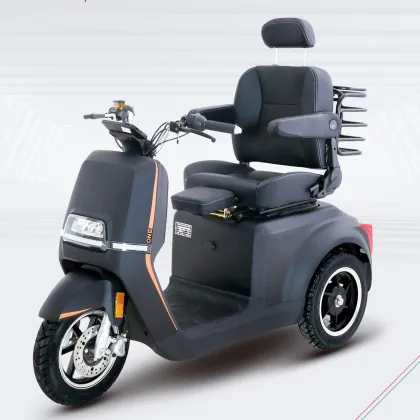 Affordable Electric Mobility Scooters for Disabled Elderly: EEC Compliant & Cheap Price Options