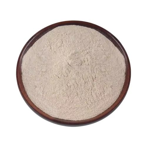 Probiotics Bacillus Subtilis Fermentation Free Sample Bacillus Subtilis 100 Billion cfug Powder Manufactory