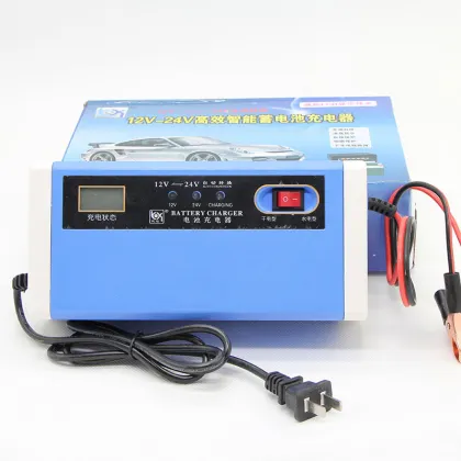 Anhui YouXin Intelligent Universal Battery Charger - 12v, 24v, 72v