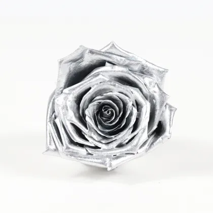 Kunming Freeze Dried Roses 4-5cm Flower Heads
