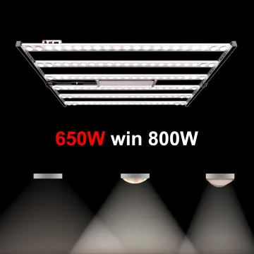 U0>0.9 High Uniform Light Shelf Cultivation Grow Light for Vertical Medicinal Plant Growing