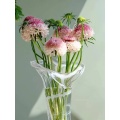 زهرة مغرفة الخطمي Scabiosa عالية الجودة لحفلات الزفاف
