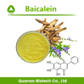 Extrato de raiz de Scutellaria Baicalensis Baicalein 98% em pó