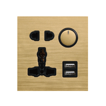 LD Serie 1 Gang 13A+1 Gang 16a mit USB
