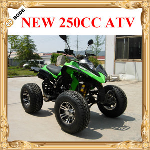 EEC 250 CC レーシング ATV