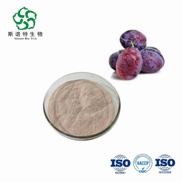 Premium Organic Dried Prune Fruit Powder for Healthy Living