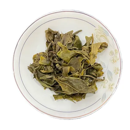 Premium Dragon Pearl Jasmine Green Tea